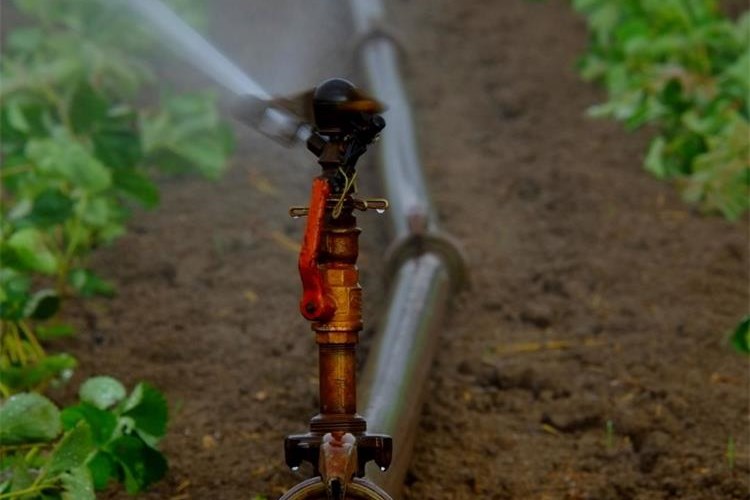 Slika /slike/Priopcenja/Foto_NOVO PRIOPĆENJA/Poljoprivreda/ef45hg54hwegf (109).jpg